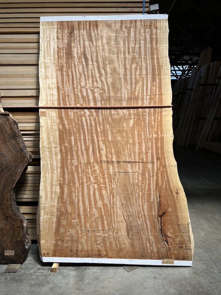 Img 6477